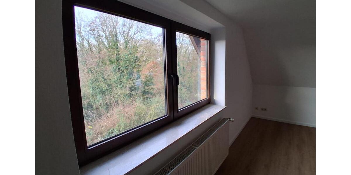 Dachgeschoßwohnung Halle - 2 Zimmer, 60 m&sup2;, 600&euro; | Angebot:24082894