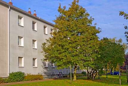 Wohnung Duisburg Huckingen - 2 Zimmer, 41 m&sup2;, 409&euro; | Angebot:27067068