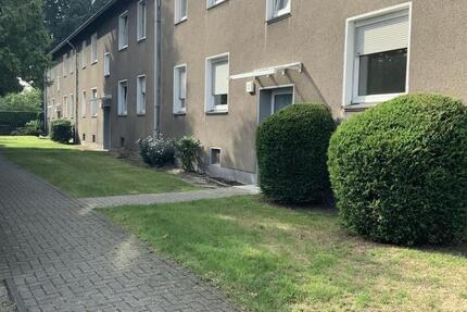 Gemütliche 3-Zimmer-Wohnung in ruhigem 4-Parteien-Haus 3 zimmer