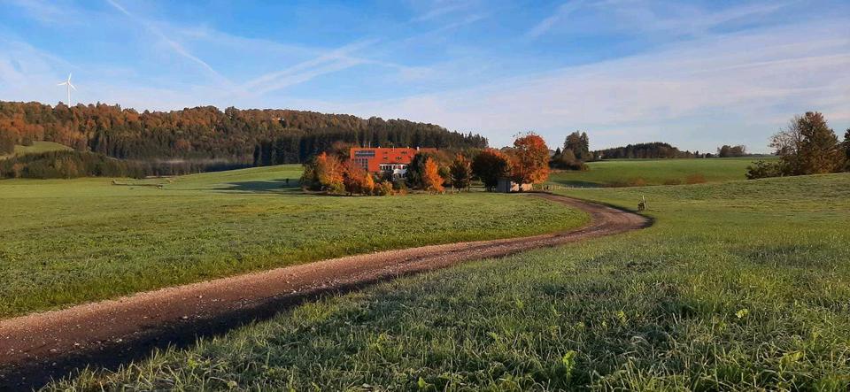 Etagenwohnung Wildpoldsried - 1.5 Zimmer, 100 m&sup2;, 900&euro; | Angebot:24801126