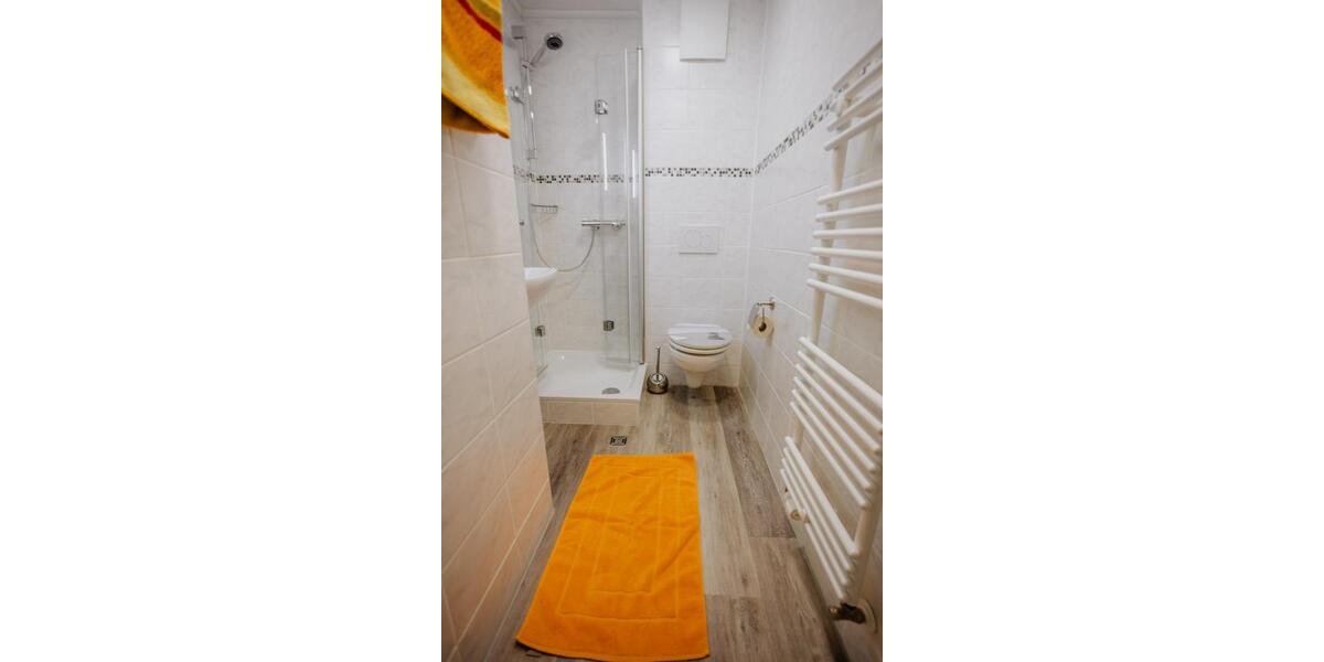 Wohnen auf Zeit Frankfurt am Main Mitte-West - 1 Zimmer, 480 m&sup2;, 850&euro; | Angebot:20698603