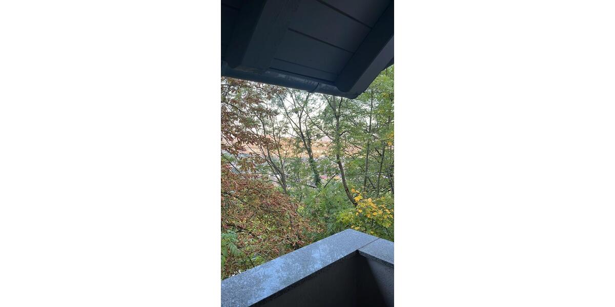 Wohnen auf Zeit Stuttgart Lehen - 1 Zimmer, 20 m&sup2;, 620&euro; | Angebot:26464243
