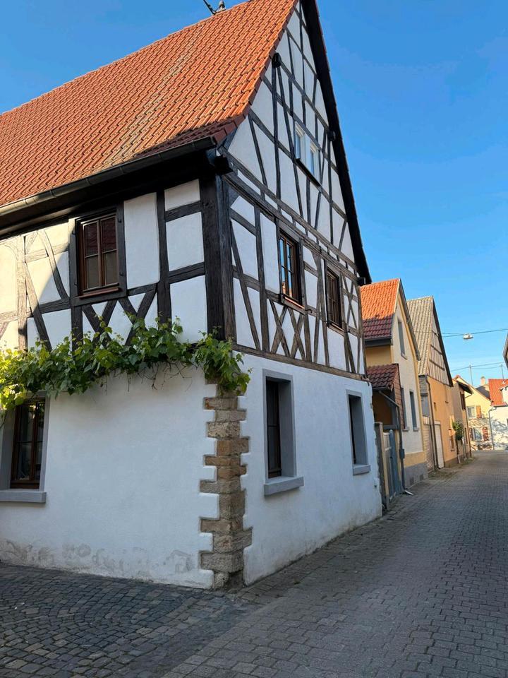 Haus zu vermieten