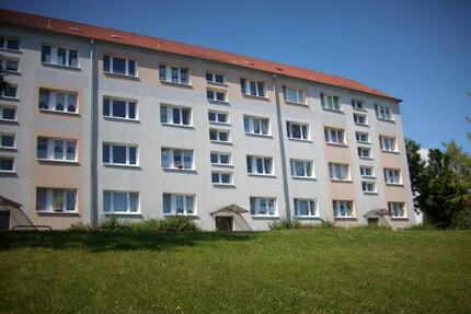 Wohnung Sondershausen - 3 Zimmer, 59 m&sup2;, 343&euro; | Angebot:24875445