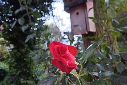 Wohnen auf Zeit Sendenhorst - 3 Zimmer, 80 m&sup2;, 1.000&euro; | Angebot:26236307