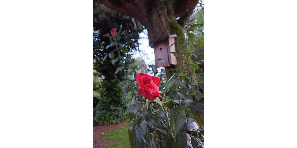 Wohnen auf Zeit Sendenhorst - 3 Zimmer, 80 m&sup2;, 1.000&euro; | Angebot:26236307