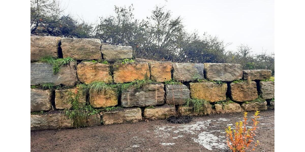 Erdgeschoßwohnung Königheim - 2 Zimmer, 53 m&sup2;, 700&euro; | Angebot:24769140