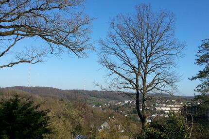 Freistehendes Einfamilienhaus mit Weitblick in Langenberg 6 zimmer