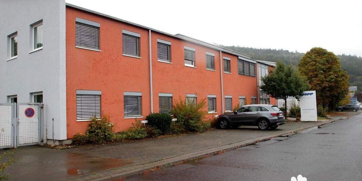 Gewerbeobjekt Partenstein - 11.250&euro; | Angebot:25739081