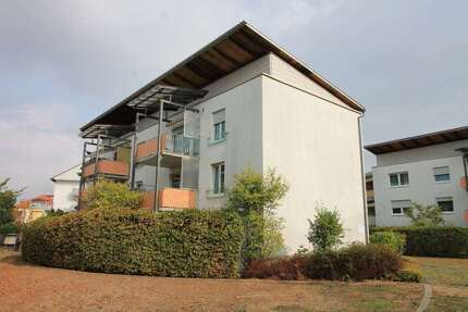 Wohnung zum Mieten in Bischofsheim 613,78 € 60.77 m²