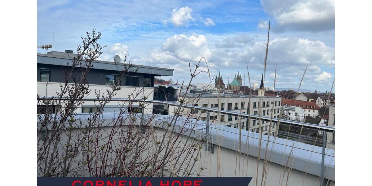 Einfamilienhaus Erfurt Andreasvorstadt - 7 Zimmer, 232 m&sup2;, 3.190&euro; | Angebot:25868170