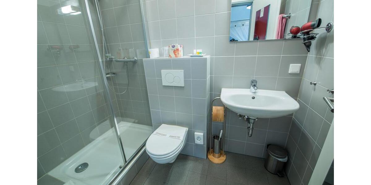 Wohnen auf Zeit Koblenz - 1 Zimmer, 25 m&sup2;, 990&euro; | Angebot:14022295