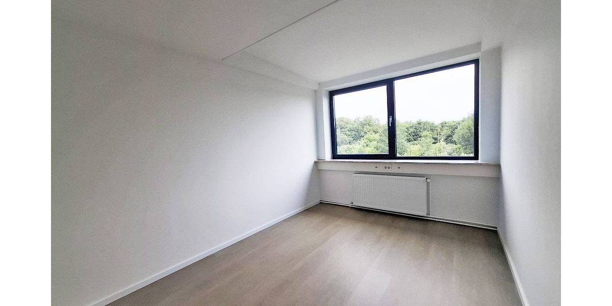 Gewerbeobjekt Braak - 1 Zimmer, 11 m&sup2;, 275&euro; | Angebot:25704554