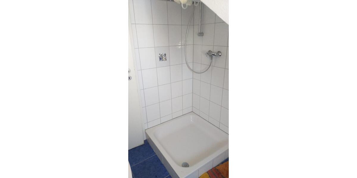 Wohnen auf Zeit Heidelberg Pfaffengrund - 1 Zimmer, 84 m&sup2;, 750&euro; | Angebot:26373145