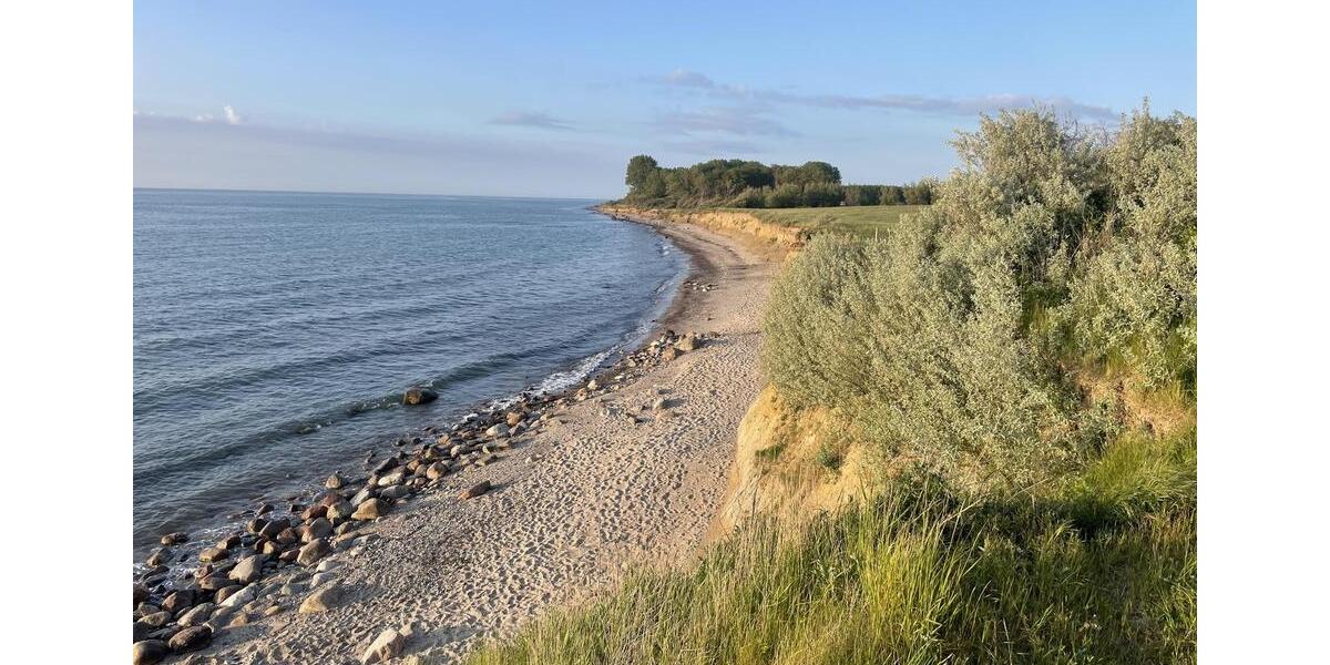 Wohnen auf Zeit Neuburg - 3.5 Zimmer, 18 m&sup2;, 700&euro; | Angebot:24802371