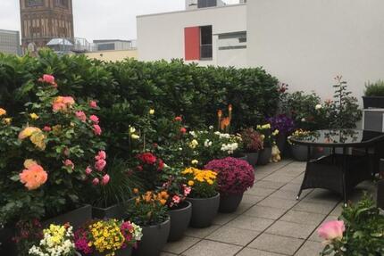 Nachmieter 3 - Raum - Wohnung Stralsund Altstadt 3 zimmer