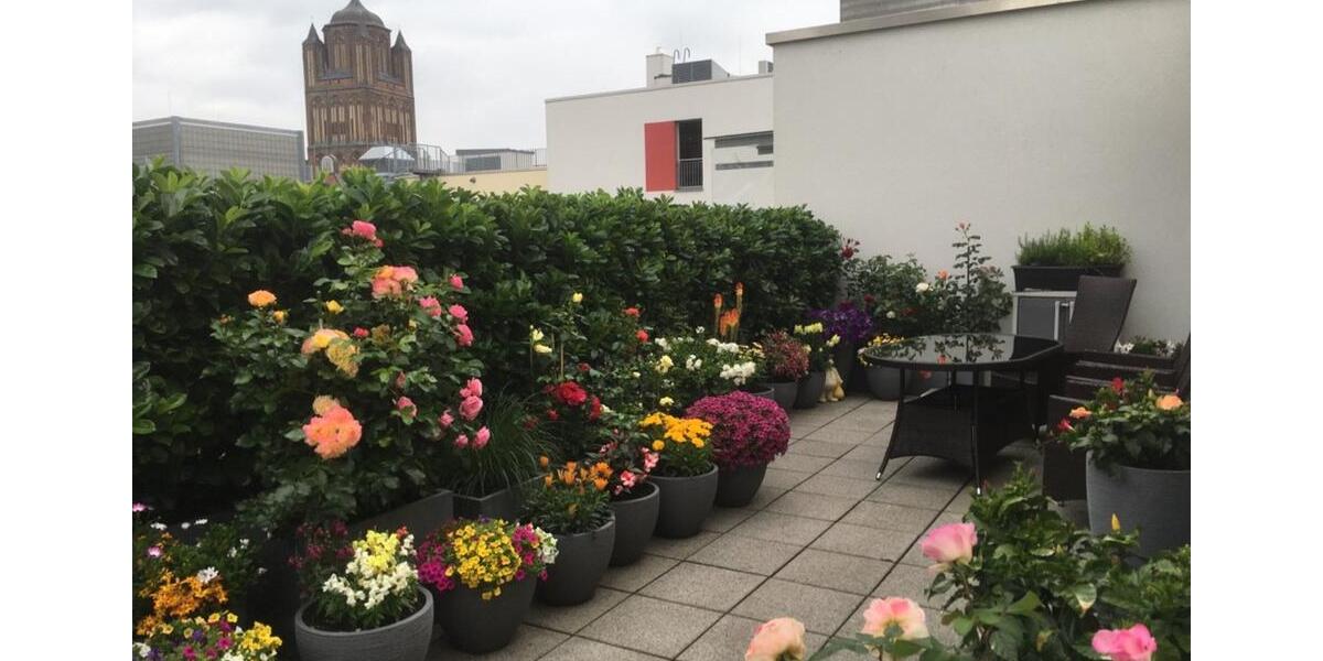 Nachmieter 3 - Raum - Wohnung Stralsund Altstadt 3 zimmer