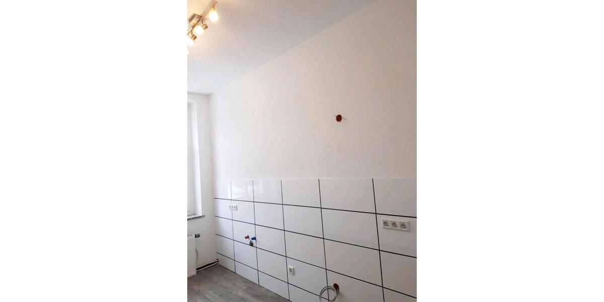 Etagenwohnung Neustadt in Sachsen - 5 Zimmer, 160 m&sup2;, 960&euro; | Angebot:26445148