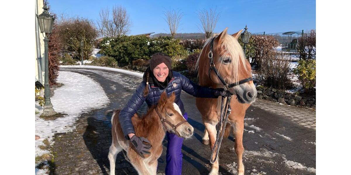 Etagenwohnung Weilburg - 3 Zimmer, 104 m&sup2;, 1.350&euro; | Angebot:25160842