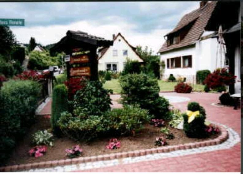 Erdgeschoßwohnung Bad Sooden-Allendorf Allendorf - 1 Zimmer, 30 m&sup2;, 395&euro; | Angebot:24974492