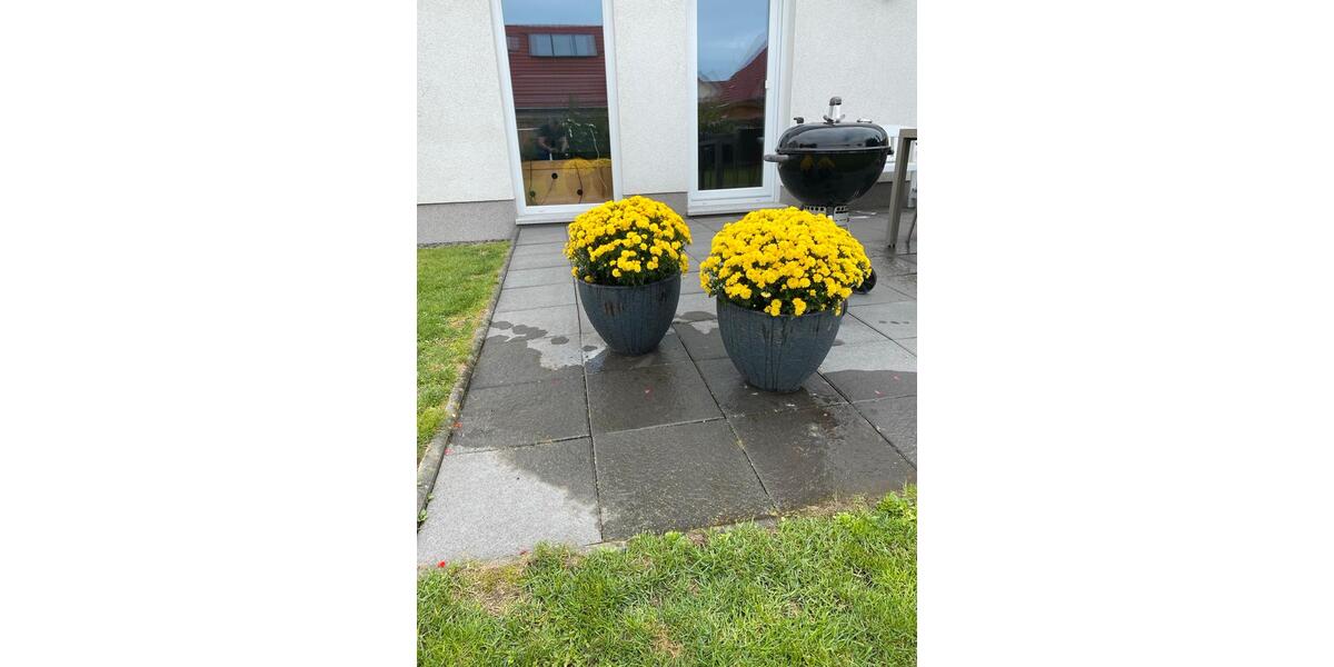 Etagenwohnung Potsdam Krampnitz - 1 Zimmer, 20 m&sup2;, 500&euro; | Angebot:26634881