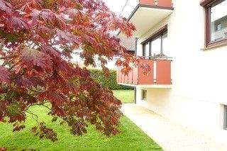 NEU! Sonniger Balkon - schöner Grundschnitt - Zentrale Lage! 3 zimmer