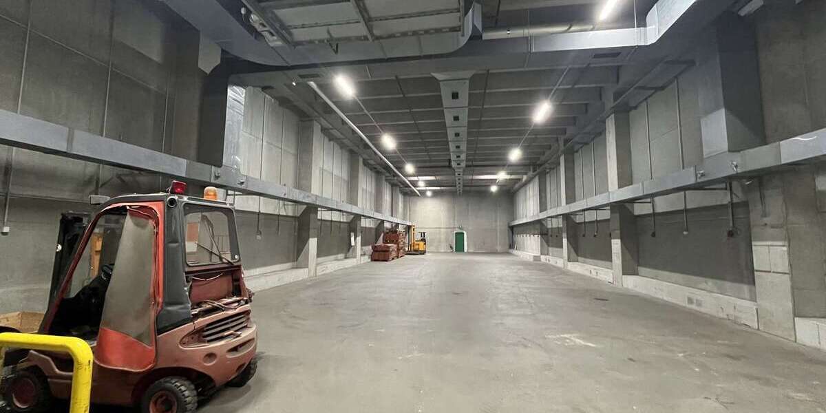 Attraktive Lagerhalle in Langenweddingen - Gewerbeobjekt Sülzetal | Angebot:25717421