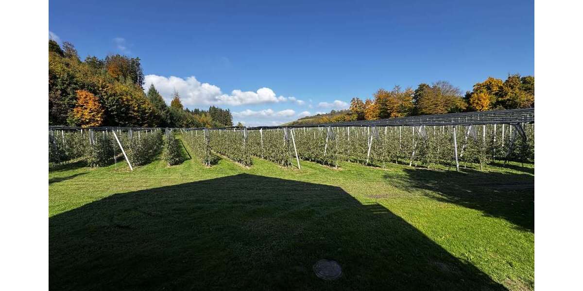 Haus zum Mieten in Tettnang 1.600 € 220 m² 6 zimmer