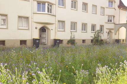 Wohnung zum Mieten in Lüdenscheid 288,83 € 48.69 m² 2 zimmer