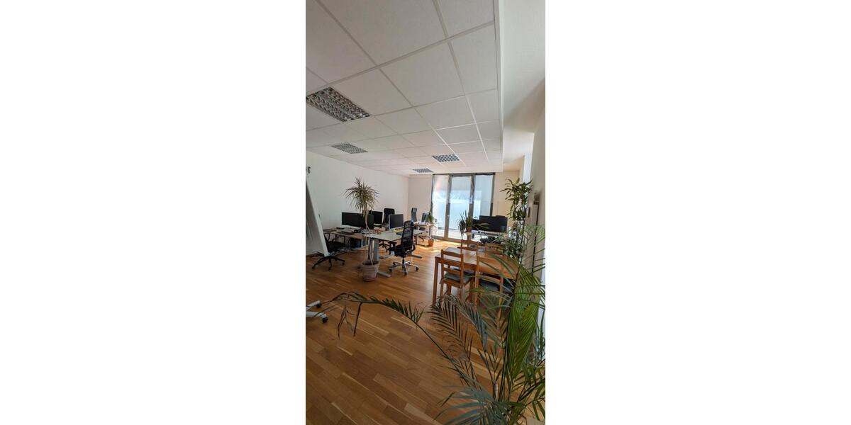 Gewerbeobjekt Freiburg im Breisgau Brühl - 2.750&euro; | Angebot:26355930