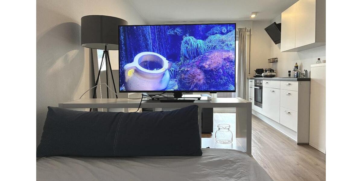 Etagenwohnung Korntal-Münchingen Münchingen - 1 Zimmer, 27 m&sup2;, 690&euro; | Angebot:26640231