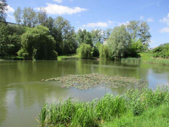 Etagenwohnung Neubrandenburg Oststadt - 2 Zimmer, 46 m&sup2;, 248&euro; | Angebot:25739640