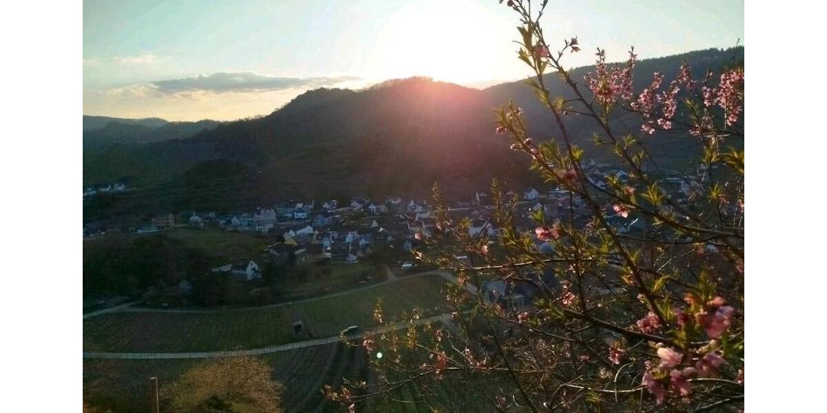 Etagenwohnung Bad Neuenahr-Ahrweiler Ahrweiler - 2 Zimmer, 55 m&sup2;, 500&euro; | Angebot:26631525
