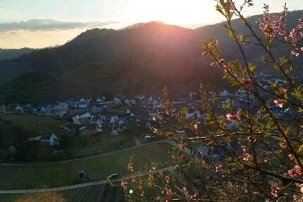 Wohnung Bad Neuenahr-Ahrweiler Ahrweiler - 2 Zimmer, 55 m&sup2;, 500&euro; | Angebot:26631525