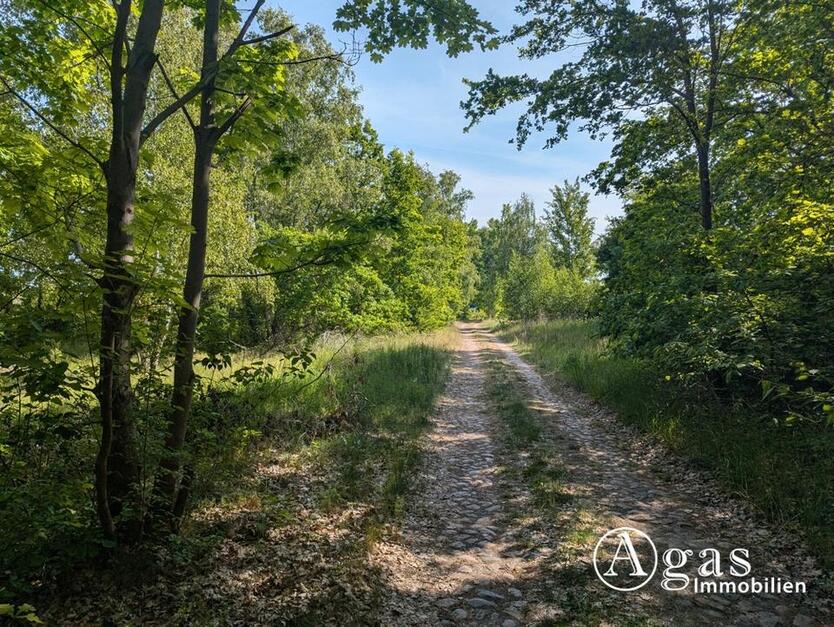 großzügiges Grundstück nahe der Altstadt in Brandenburg an der Havel zimmer