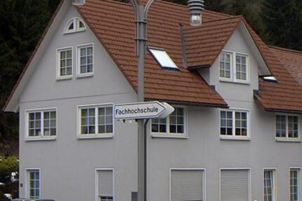 Ein Zimmer Appartment in Furtwangen