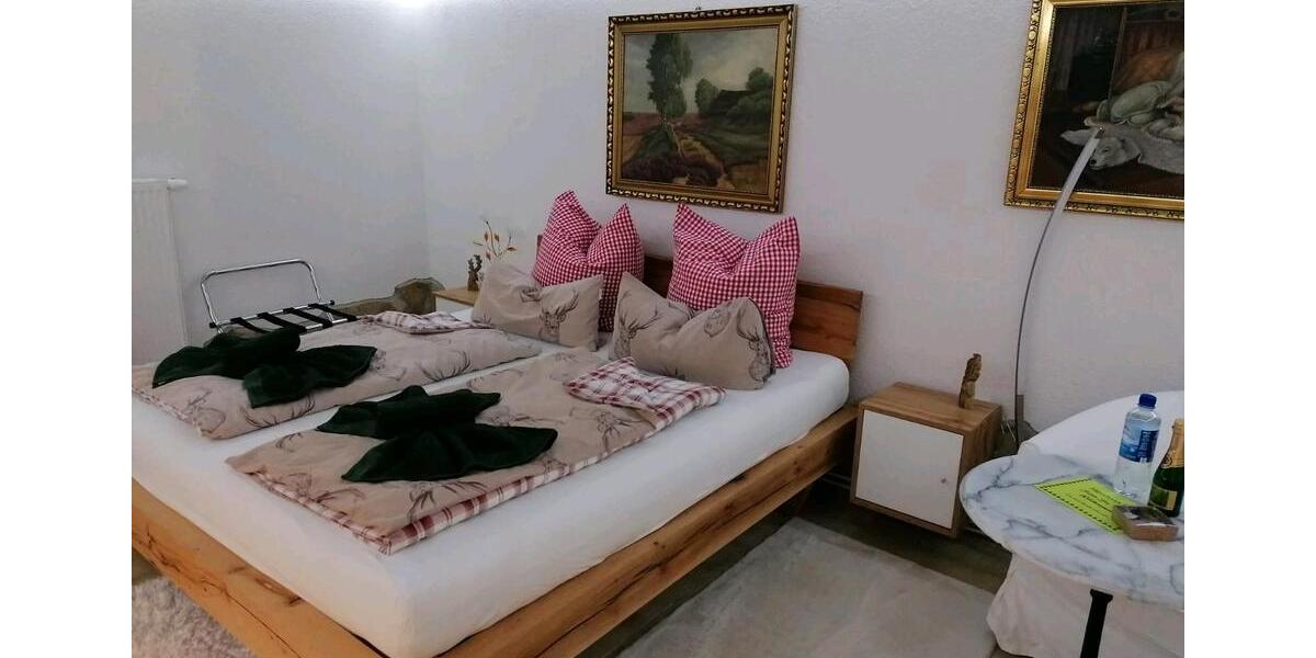 Wohnen auf Zeit Großschirma - 2 Zimmer, 50 m&sup2;, 55&euro; | Angebot:21811730