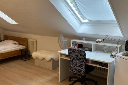 1 Zimmer Wohnung Mannheim (1.1.2026-30.04.2026) 1 zimmer