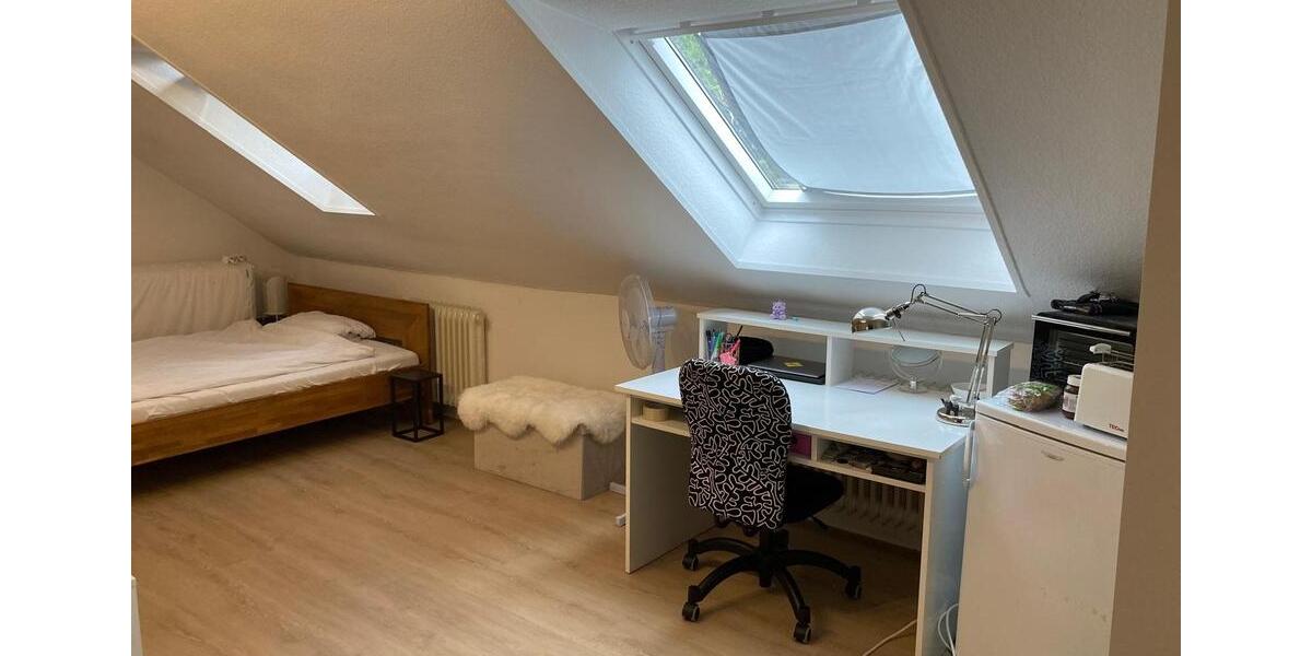 1 Zimmer Wohnung Mannheim (1.1.2026-30.04.2026) 1 zimmer