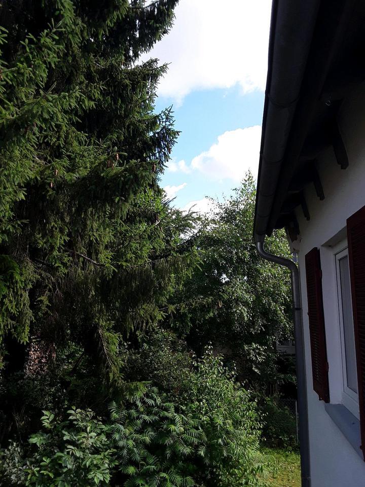 charmante 2 Zimmer Wohnung in Zentraler Lage zu vermieten