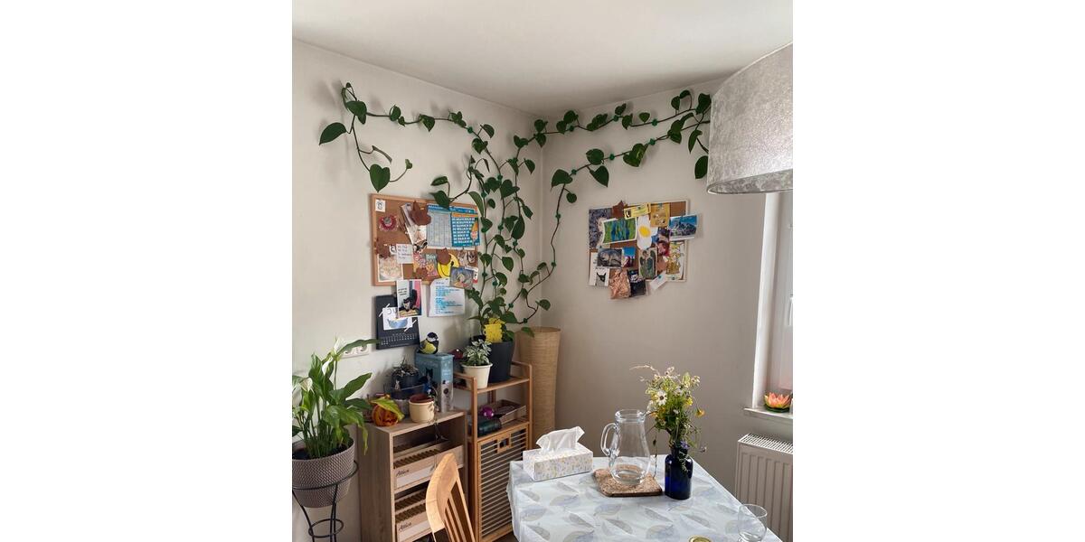 Wohnen auf Zeit Niederalteich - 4 Zimmer, 9 m&sup2;, 400&euro; | Angebot:23669774