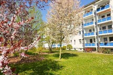 Wohnung Riesa Weida - 2 Zimmer, 39 m&sup2;, 250&euro; | Angebot:26672124