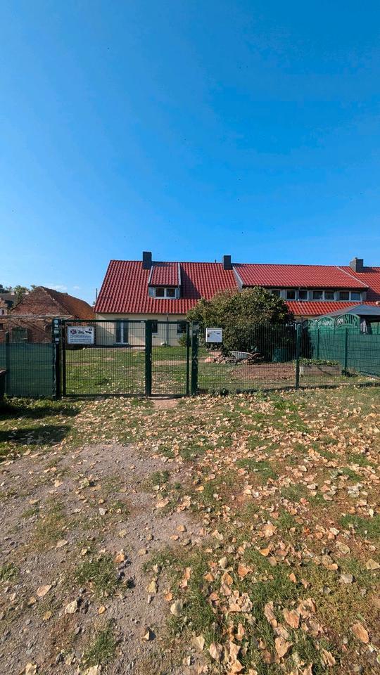 Familienfreundliches Reiehnendhaus- ab sofort zimmer