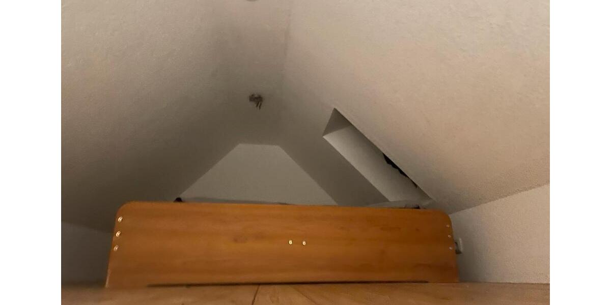 Dachgeschoßwohnung Greifswald Eldena - 1.5 Zimmer, 32 m&sup2;, 600&euro; | Angebot:24688877