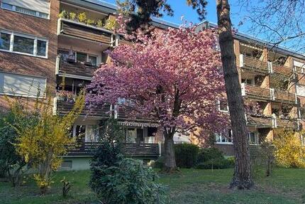 Wohnung Erftstadt - 3 Zimmer, 80 m&sup2;, 860&euro; | Angebot:24659960