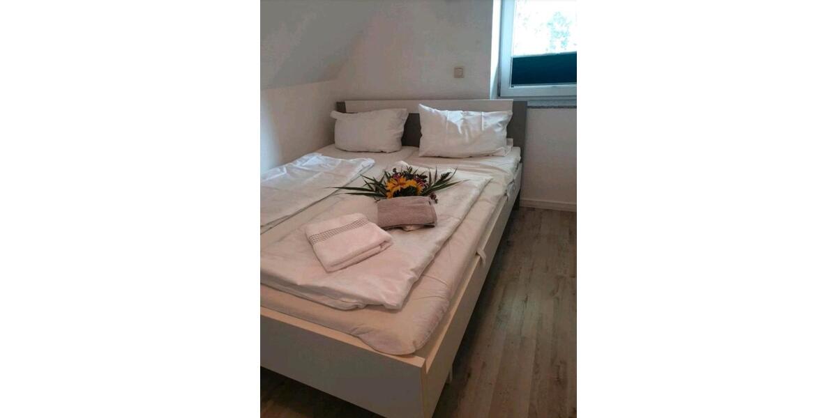 Dachgeschoßwohnung Gingst - 2 Zimmer, 45 m&sup2;, 720&euro; | Angebot:25341423