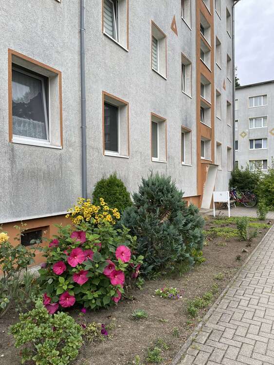Wohnung zum Mieten in Lindow 593 € 79 m²