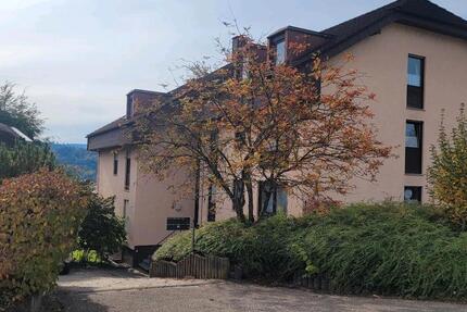 Wohnung Pforzheim Dillweißenstein - 1 Zimmer, 40 m&sup2;, 570&euro; | Angebot:24605896