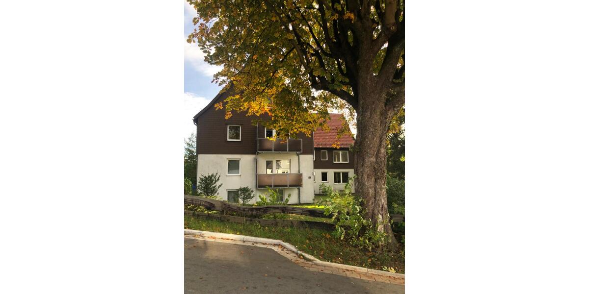 Etagenwohnung Goslar OS Hahnenklee-Bockswiese - 4 Zimmer, 80 m&sup2;, 580&euro; | Angebot:24531521