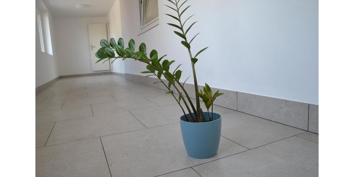 Etagenwohnung Barchfeld-Immelborn Immelborn - 4 Zimmer, 115 m&sup2;, 880&euro; | Angebot:26623735
